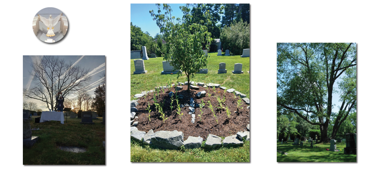 Walker Chapel Historic Cemetery and Columbarium Cherry Tree Header