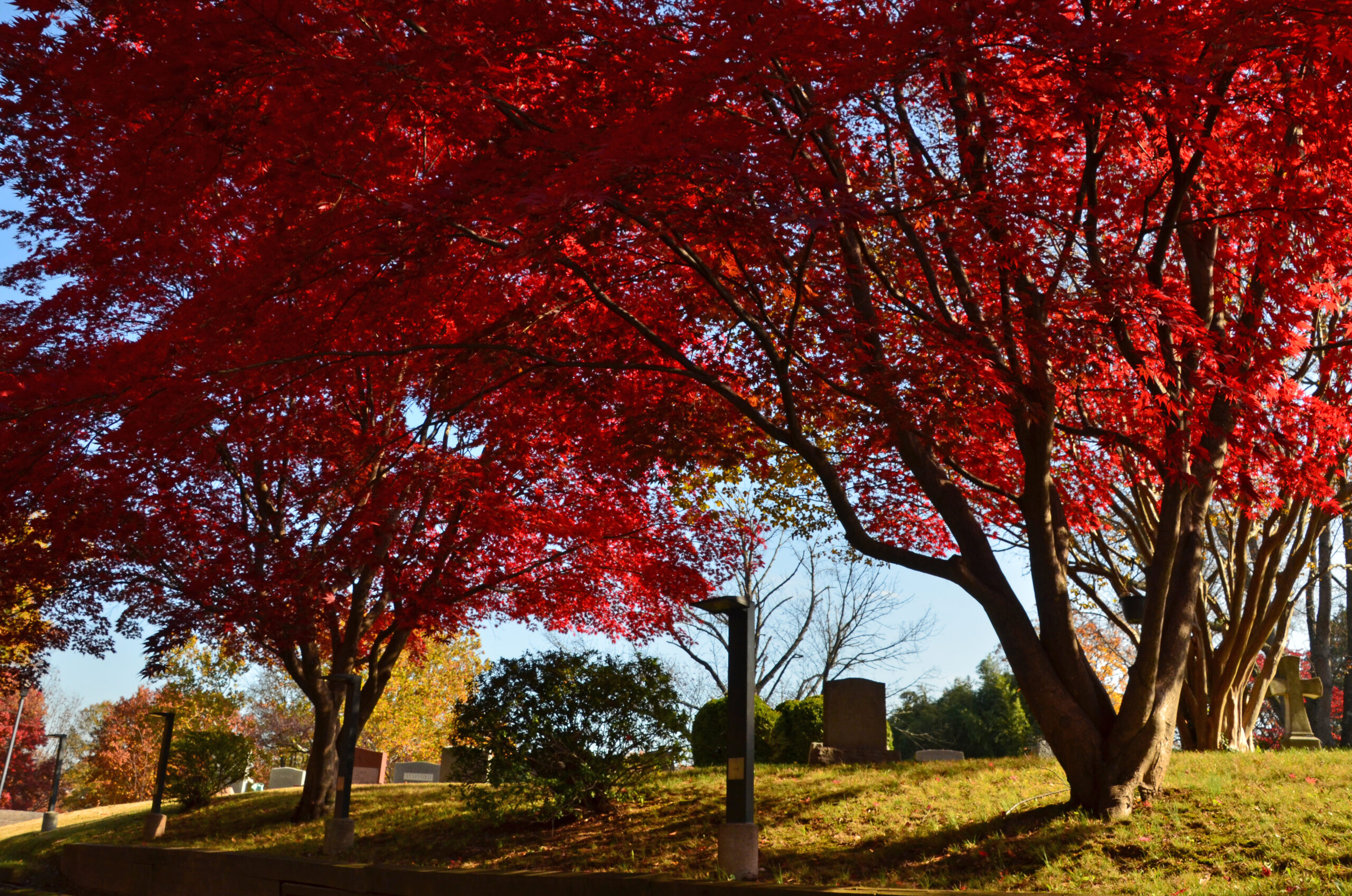 Walker Chapel Columbarium Fall-in-the-Walker-Chapel-Cemetery Fall-in-the-Walker-Chapel-Cemetery