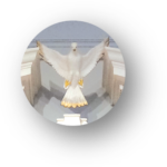 Walker Chapel Columbarium The-Dove-above-the-alter-of-Walker-Chapel-signifying-the-Holy-Spirit-and-Wisdom-150x150 The-Dove-above-the-alter-of-Walker-Chapel-signifying-the-Holy-Spirit-and-Wisdom