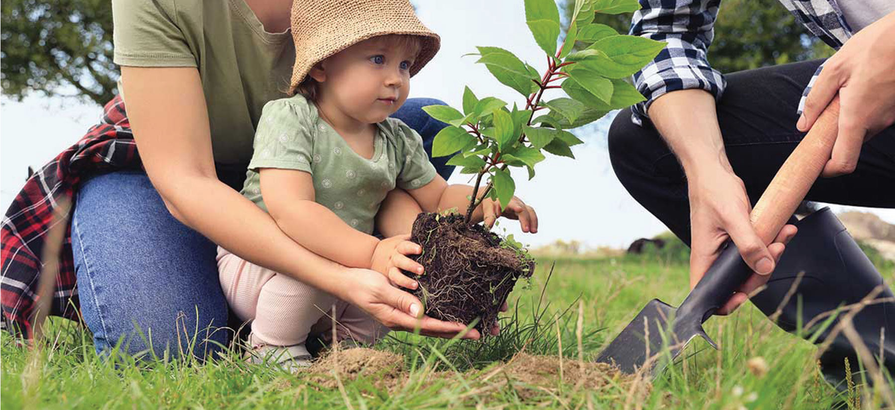 Family planting a memorial tree while honoring a loved one after cremation